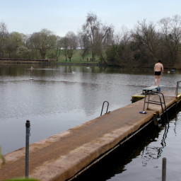 The Ponds: Still Waters Run Deep